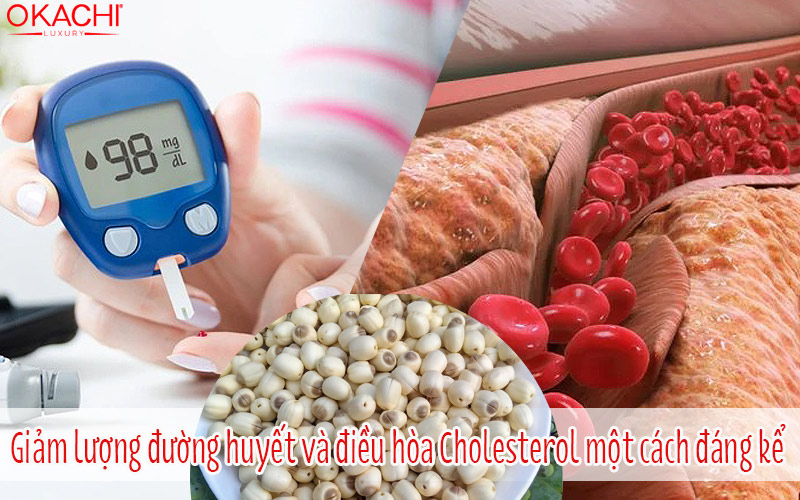 Giảm lượng đường huyết và điều hòa Cholesterol một cách đáng kể 