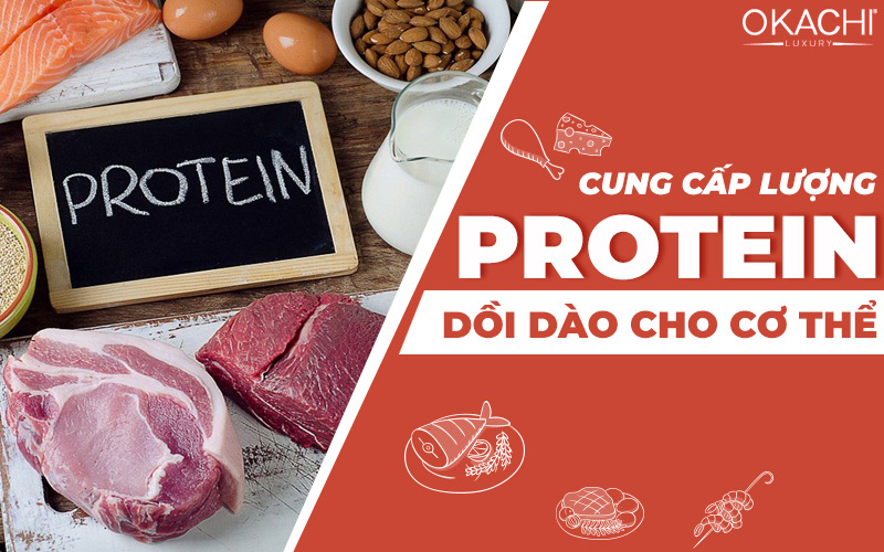 Cung cấp lượng Protein dồi dào cho cơ thể
