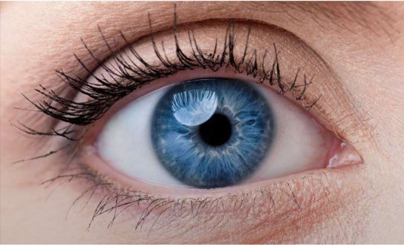 Tìm hiểu chi tiết bệnh mù mắt nguyên nhân, triệu chứng, chẩn đoán và điều trị